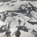 종로무도장 이미지