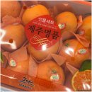 천년로 | 영광군 맛집, 영광 현지인 맛집 과일왕 내돈내산 후기