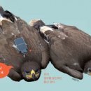 마리정보통신 이미지