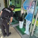 고흥제일골프존 이미지