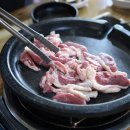 해적선생오리 이미지