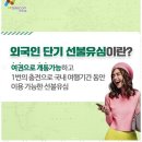 더텔레콤 이미지