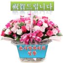 동구노인종합복지관 이미지