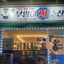 부엉이회수산 네이버블로그