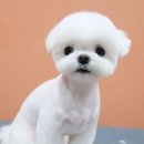 몽크의 아뜰리에 이미지