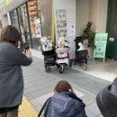 몽몽하지 이미지