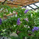 거제도애광원 이미지