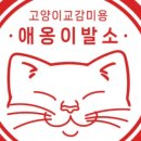 애옹이발소 이미지