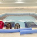 워터웍스 짐앤풀 이미지