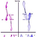 (필독) 맘보(salsa on2)의 역사....어휴 드디어끝냈다... 이미지