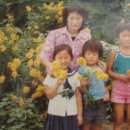 의곡2리 이미지