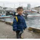 구룡포대게과메기해산물 이미지