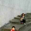 주몽농장 이미지