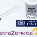 애코이비인후과의원 이미지