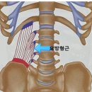 옥재철정형외과의원 이미지