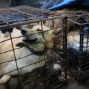 황구건강원 이미지