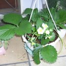 유림약국 이미지