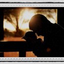 허니문 도어 이미지