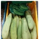 늘푸른건강명가 이미지