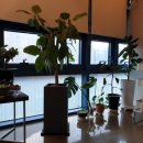 마인드닥터의원 이미지