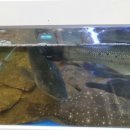 마곡할인마트 이미지