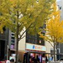 인형뽑기마을 이미지