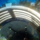 띵킹 독(Thinking Dog) | 비발디파크 소노펫...띵킹독(thinking dog)