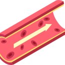 더불어내과의원 이미지