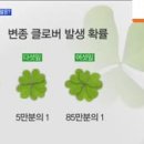 더클로버 이미지