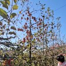 서대산농장 이미지