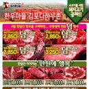 양지-2850 이미지