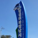 구룡포아라광장 이미지