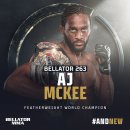 BELLATOR 263 핏불 vs 맥키 대회 움짤들입니다.gif 이미지