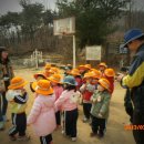 비둘기어린이집 이미지