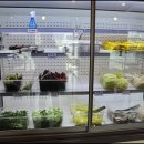 북수원갈비 이미지