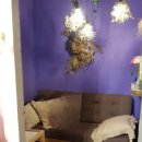 플라워천국 이미지