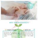 바른자세 테라피 이미지