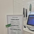 도화동쉼터 | 제물포 도화동 고양이카페 엘리웨이 캣플헤븐 후기