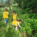 부주동 근린공원 이미지