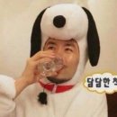 고고부동산중개 | HUG 청년버팀목 전세자금대출 후기 :: 1