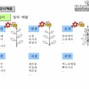 플로아트 이미지