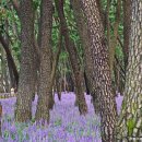 삼문동둔치주차장 이미지