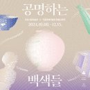 천안시립미술관 | 천안시립미술관 공명하는 백색들 전시 후기