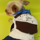 은옥농장 | 은옥네 스카프&amp;백팩 한달간 사용후기~^^