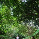 해미래펜션 | 거제도 가볼만한곳ㅡ 홍포여차전망도로.해금강선착장.바람의언덕.신선대 계절마다 날씨마다 다른 느낌