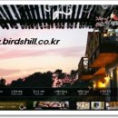 버즈힐펜션 이미지