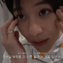 라쿤 하우스 이미지