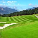 플라자C.C 이미지