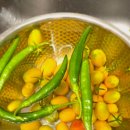 명품드림 이미지