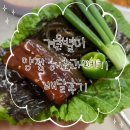 해초과메기양정점 이미지
